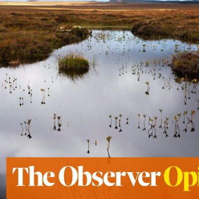 How the Observer helped save Scotland’s bogs from destruction | Geoffrey Lean
