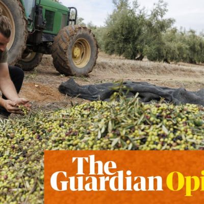 Soaring grocery prices helped Trump to victory. The climate crisis is only going to make this worse | James Meadway