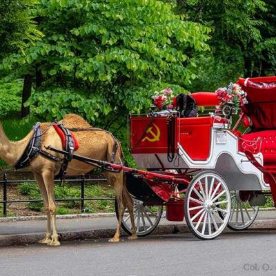 Signs of Change in NYC