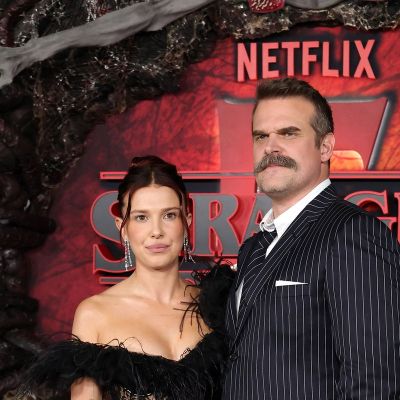 Stranger Things: The dark side of David Harbour and has it come back to haunt him?