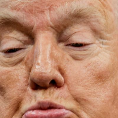 Trump’s Own Justices Humiliate Him in Citizenship Ruling