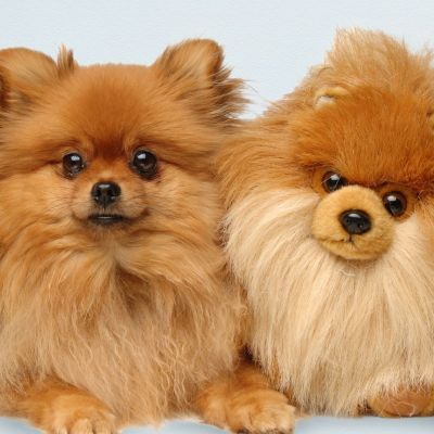 False Advertising Challenges | Practical Law The Journal | Reuters