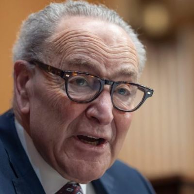 Schumer on Trump mail-in voting order: ‘This too will fail’
