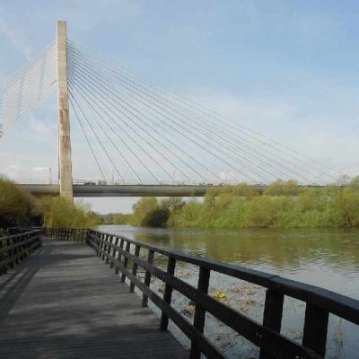 EPA report finds Boyne Estuary and Inner Dundalk Bay have poor ecological status