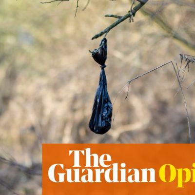 Poodunnit: dear fellow dog owners, why do so many of you bother to bag pet mess then not bin it? | Paul Daley