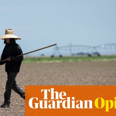 US legislators should be cracking down on child labor. But they want more | Akin Olla