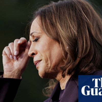 Democrats in denial over Trump defeat, voters say: ‘Haven’t learned the lessons’