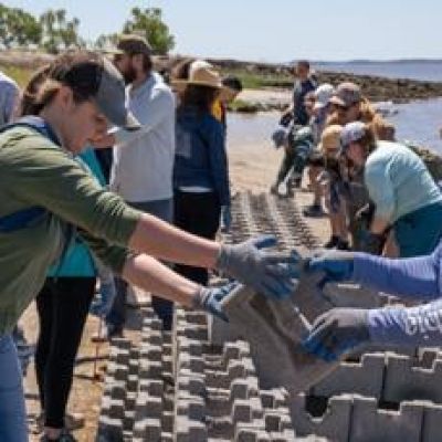 Living shorelines grant will help Beaufort County combat coastal erosion with oyster reefs