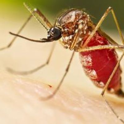 Mosquito-fighting drone takes flight in South Florida, a ‘huge difference’ to keep insects at bay