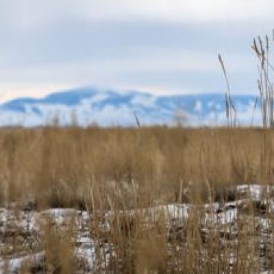 House Committee on Appropriations blocks wind project’s Environmental Impact Statement