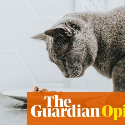Lab-grown meat is the future for pet food – and that’s a huge opportunity for Britain | Lucy McCormick