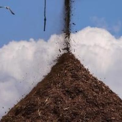 Wood pellets boomed in the US South. Climate activists want Biden to stop boosting industry growth