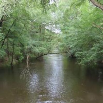 Watchdog says SC is ignoring a ‘toxic soup.’ Drinking water for thousands is at risk.