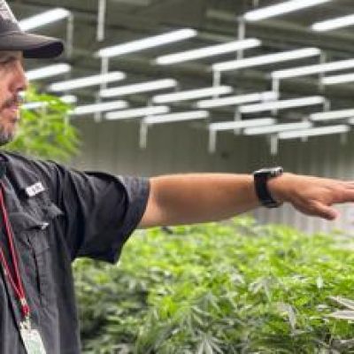 Alabama approved a medical marijuana program in 2021. Patients are still waiting for it.