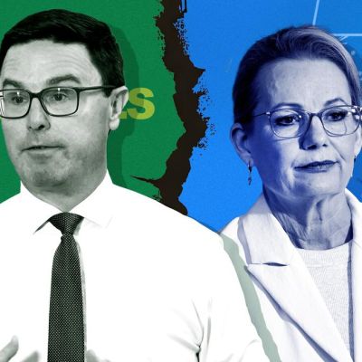 Fear of One Nation’s rise likely drove Nats split: Pollster