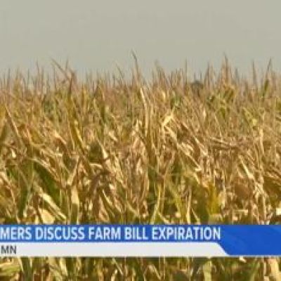 Minnesota growers react to the expiration of the 2018 Farm Bill