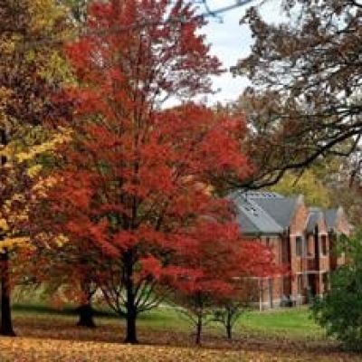 Write-in campaign in Clayton fails. Longtime alderwoman wins