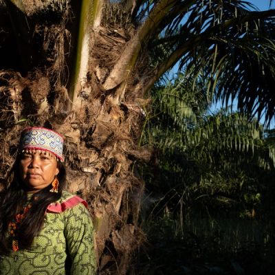 A palm oil company, a group of US financiers, and the destruction of Peru’s rainforest