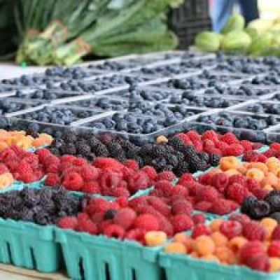 Virginia farmers face fallout from USDA cuts to local products in schools, food banks