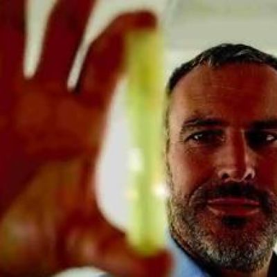 Study: Warming seas threaten key phytoplankton