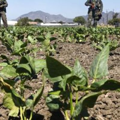 You look Latino. You speak Spanish. You work hard. That’s now probable cause | Dean Florez