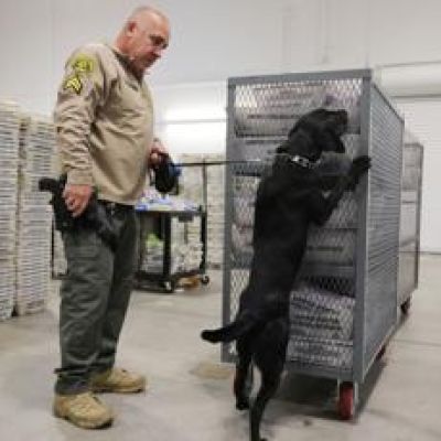 Big changes to the agency charged with securing elections lead to midterm worries