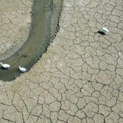 2025 on track to tie second hottest year on record: EU monitor