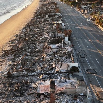 Democrat-run Los Angeles failing wildfire victims’ rebuilding plans months after Trump visit: GOP rep