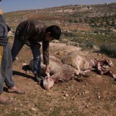 Israeli settlers spray Palestinian children with teargas in latest West Bank attack