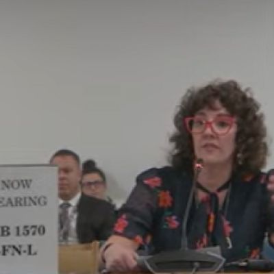 Leading Dems seek to permit cities and towns to override law enforcement agreements with ICE