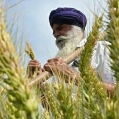 What’s at stake for Indian agriculture in Trump’s trade deal?