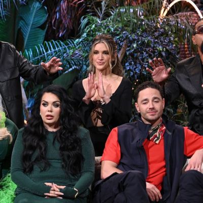 WTF Actually Happened During That Chaotic I’m A Celebrity Live Final?