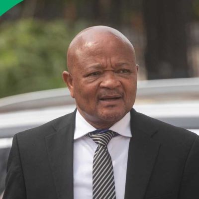 Senzo Mchunu unshaken by Madlanga commission evidence