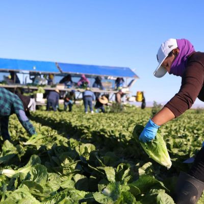 Column: Trump’s promised deportations are on a collision course with a California economy built on hypocrisy