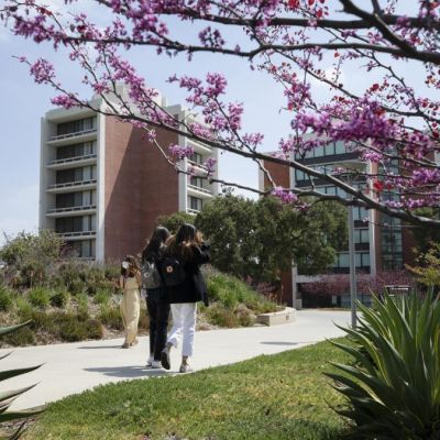 Early decision admissions for college unfairly favor wealthy students