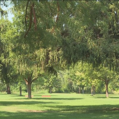 The City of Trees Challenge aims to plant a tree for every household in Boise