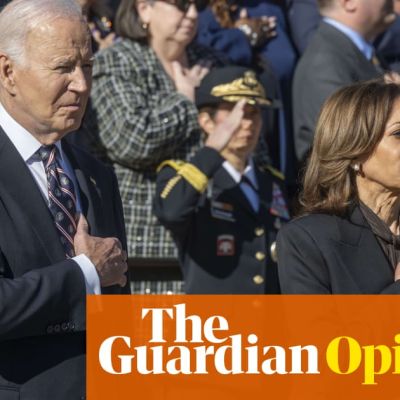 Harris ran from the Biden policies that were actually popular with voters | Daniela Gabor
