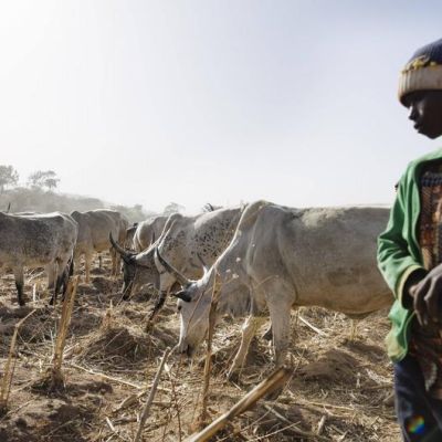 Parts of Nigeria face unprecedented levels of hunger, says