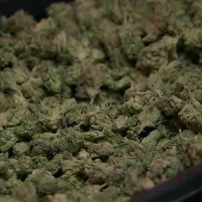 President Trump signs executive order to reclassify marijuana, may expand medical and CBD research