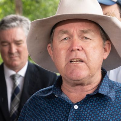 Nationals MPs ‘100 per cent’ back nuclear being kept as Coalition dissects loss