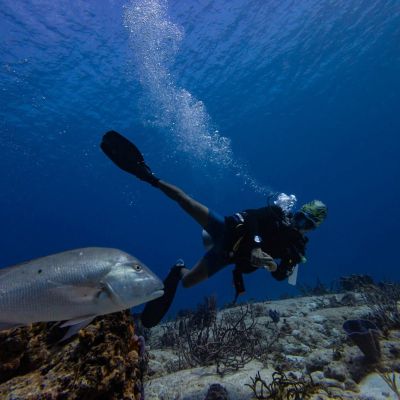 UN biodiversity treaty enters into force, targets 30% ocean protection by 2030 – Daily Times