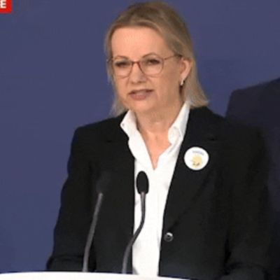 Partisan politics after Bondi sowed seeds of Coalition’s demise