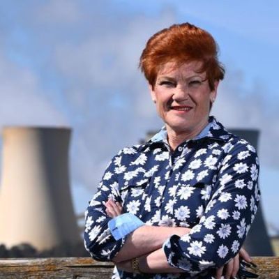 One Nation must be taken seriously, says Labor strategist