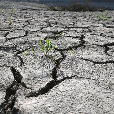 August was joint-hottest month ever recorded globally – AOL