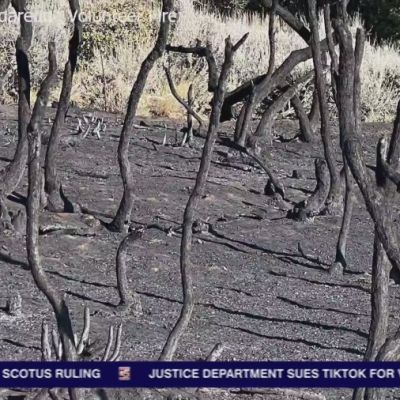 Western slope counties implement a stage one fire restriction