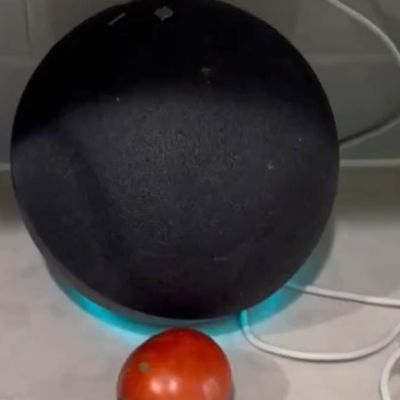 Amazon fixes Alexa ‘error’ after devices gave biased answers