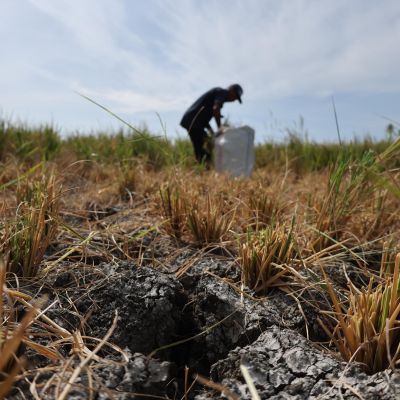 ‘Supersizing before our eyes’: UN warns of record El Niño approaching – AOL