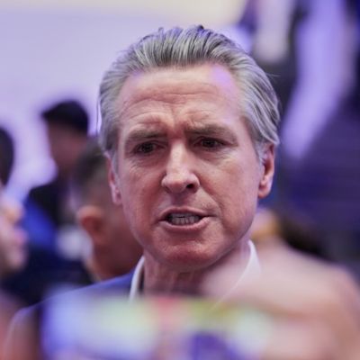 Too Dumb to Check: Gavin Newsom Is Too Dumb to Check