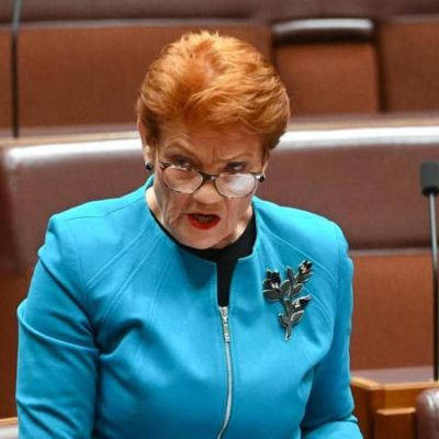 Hanson lashes gas tax ‘vandalism’, reveals energy plan