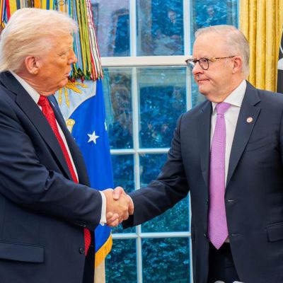 ASX slumps on gold, rare earths plunge